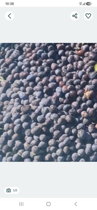 Vand struguri si prune