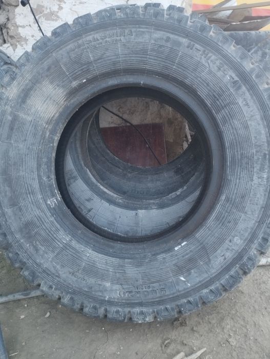 Жағдаиы жақсы 2 аи тағылған