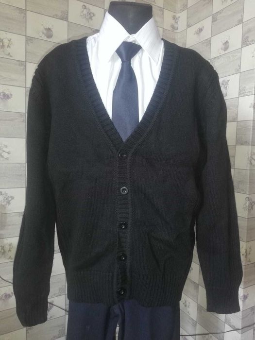 Пусер синий мальчику в школу