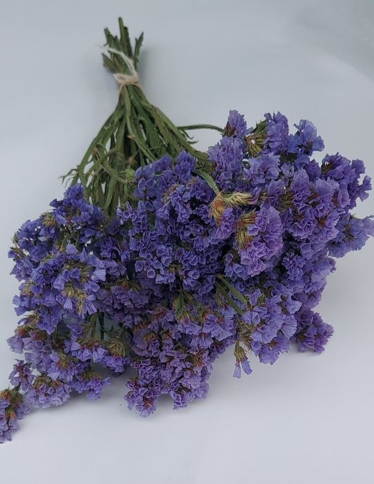 Сухоцветы для интерьера. ЛАГУРУС.