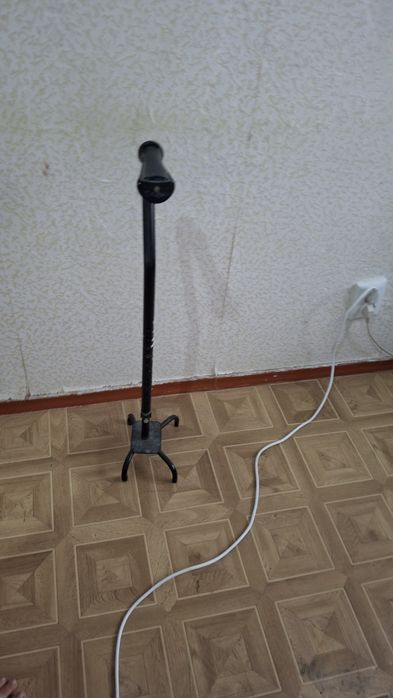 Трость.      паук