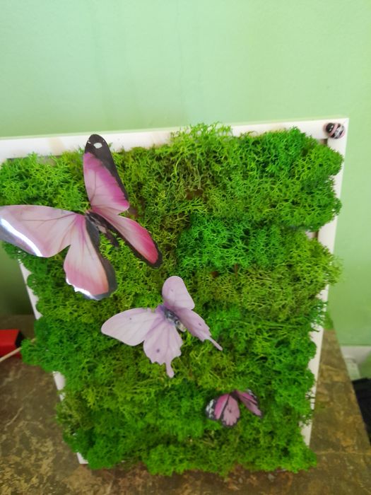 Картини от скандинавски мъх