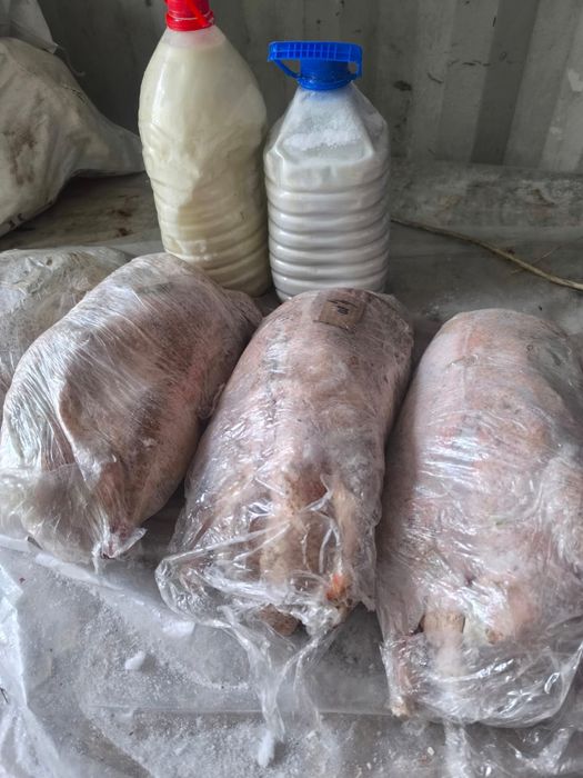 Продам гуси мясо