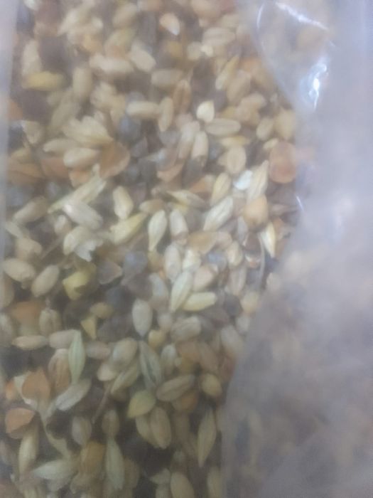 ОТХОДЫ Отруби зерноотходы Полова Овес