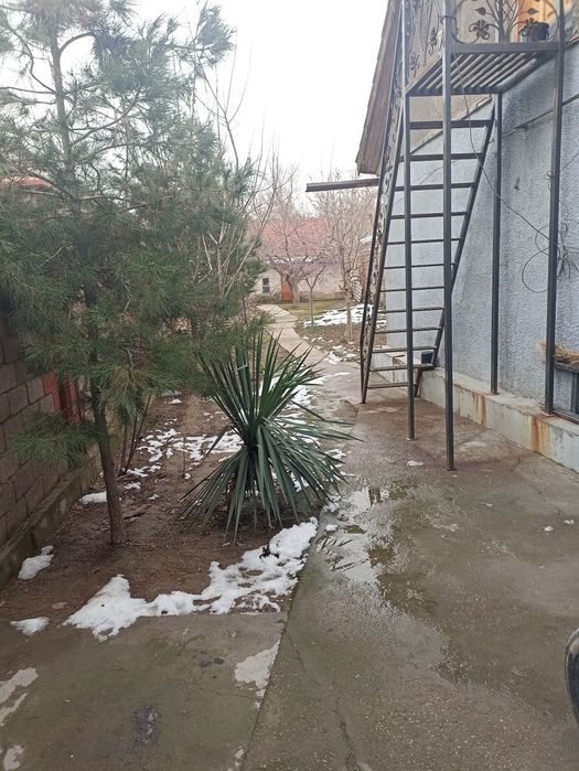 Продается дом срочно Алмалык