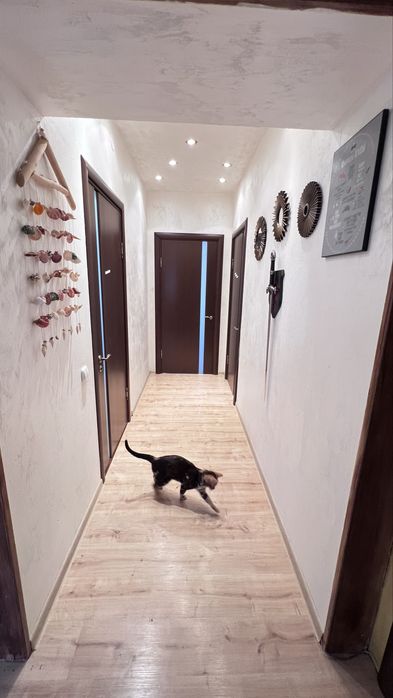 Квартира в центре парк через дорогу