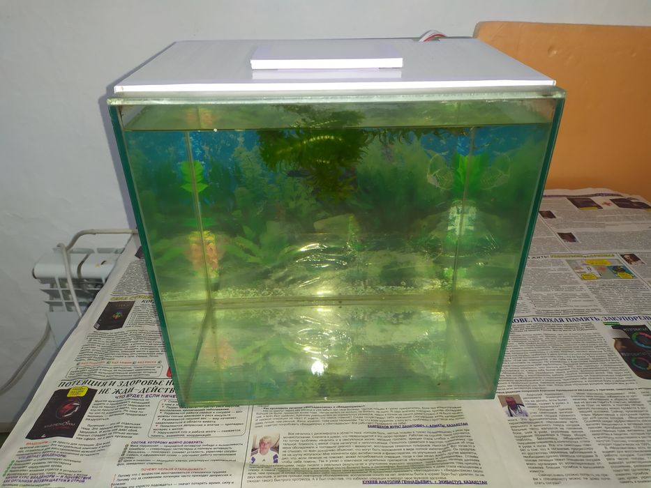 Аквариум 18л + комплект и рыбки.