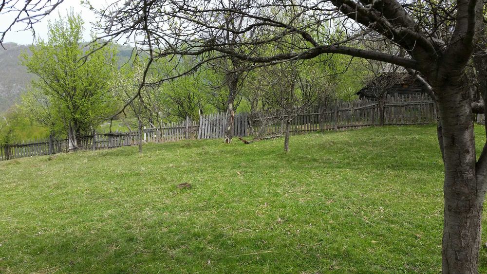 Teren intravilan pe Valea Sebesului, Sugag-Dobra, Sat-Musetoaia