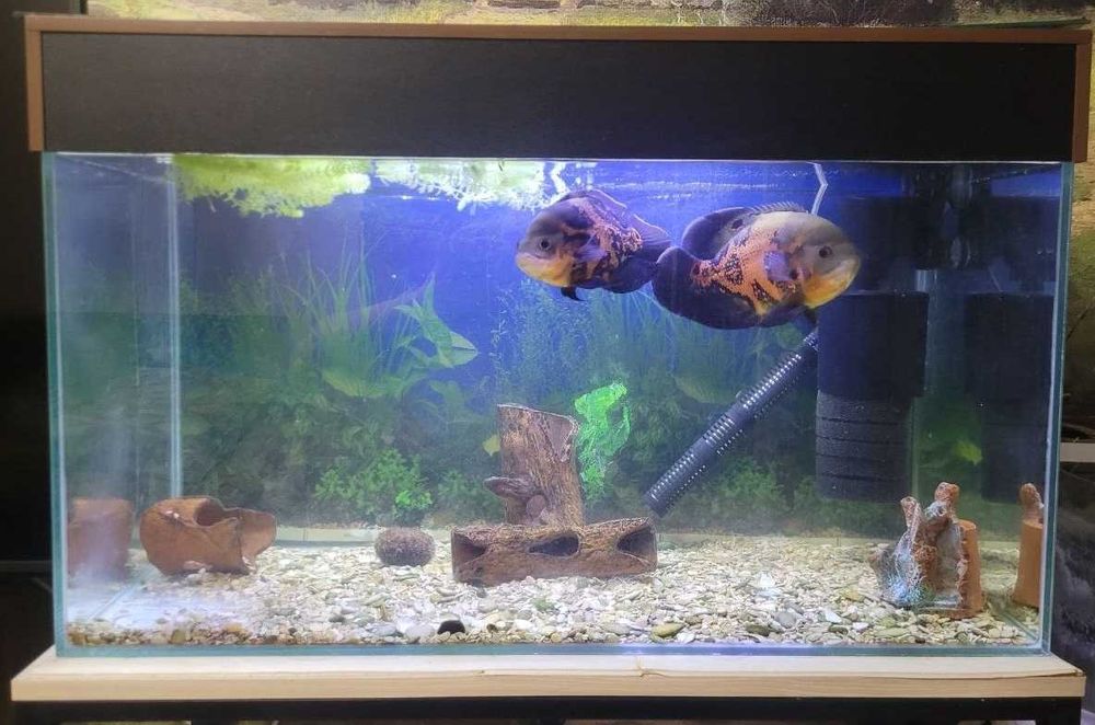 Аквариум 129 литров с крышкой