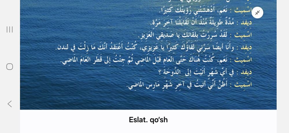 Onlayn va oflayn Arab tili, ertalabki 6:30 dan, kechki 23:00 gacha