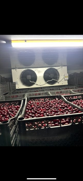 Рефрежератор Морозильник -18 4х4х2,7м