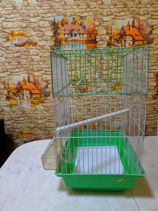 Qafas sotiladi. Algoritm 31 kvartalda.