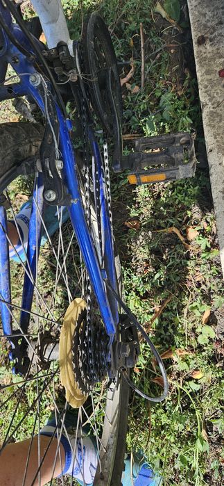Vand bicicleta buna