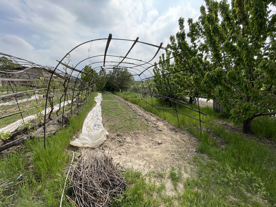 Паркент туман Сукок кишлогида 5 соток ер участкаси сотилади