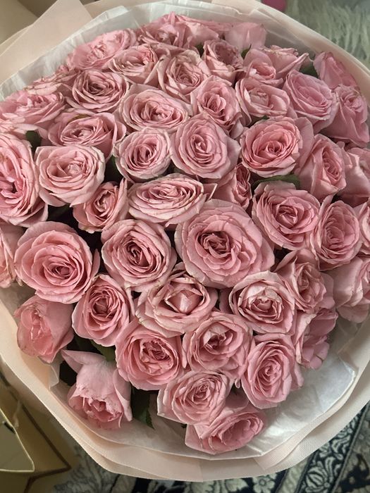 Цветы 51 розывые розы