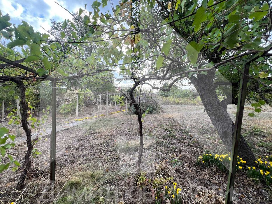 Продаваме самостоятелна тухлена къща в гр. Плиска с двор 1 дка и ГАРАЖ