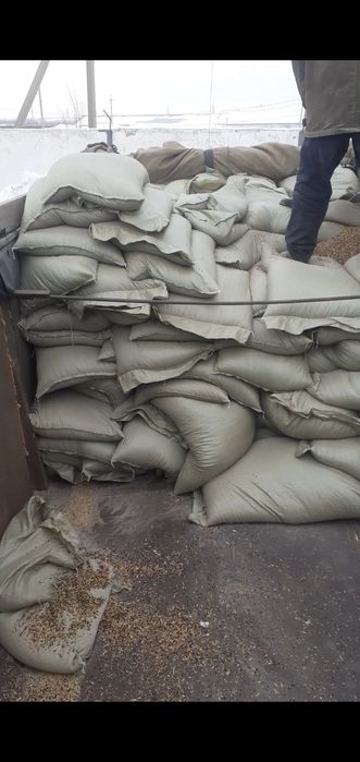 Отходы зерноотходы в мешках