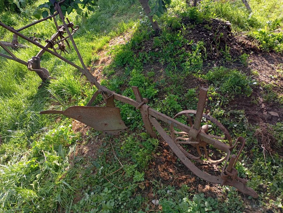 Pluguri pentru cal și prășitoare