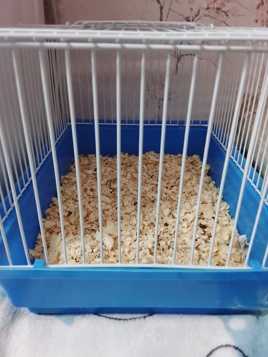 Продаю клетку для хомяка