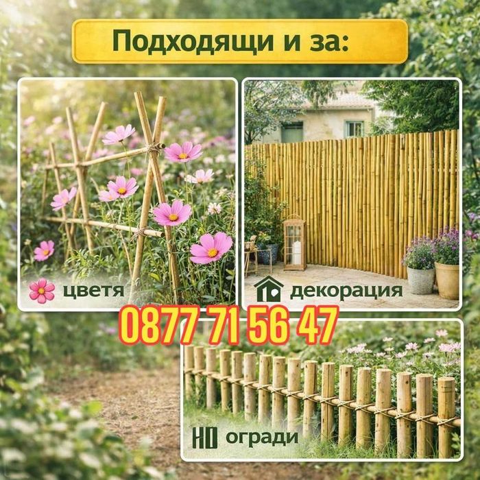 Колчета за домати от бамбук 180см / 210см кол, бамбукови пръчки 1,80м или 2,10м колци колове за домати и цветя от естествен бамбуков материал