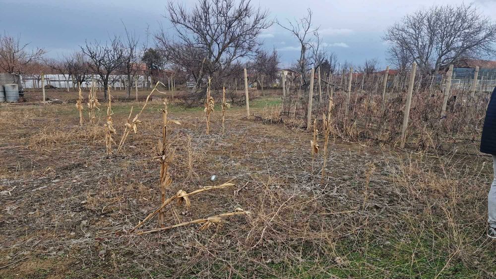 Продава се Къща в с. Тръстеник, Област Русе - 80 кв.м за 232 €/кв.м - Снимка #4