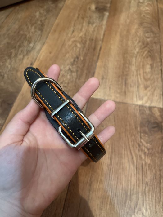 Ошейник для собак