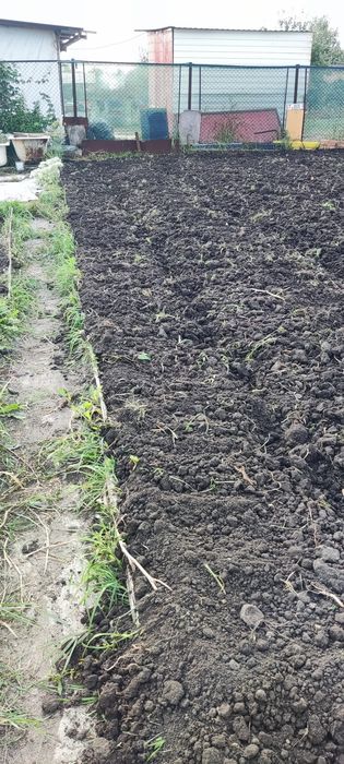 Продам дачу с баней в  СТ  Борки