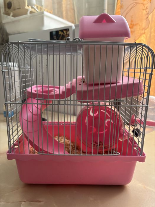 Продам хомяков с клетками