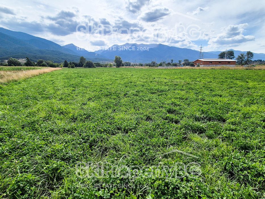 Предлагаме два съседни имота за продажба!