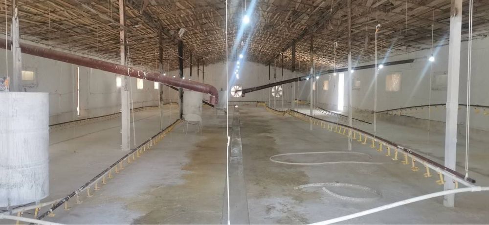 20 соток тайёр бизнес 10 соток бизнес.  10 соток ховли арендатори бор