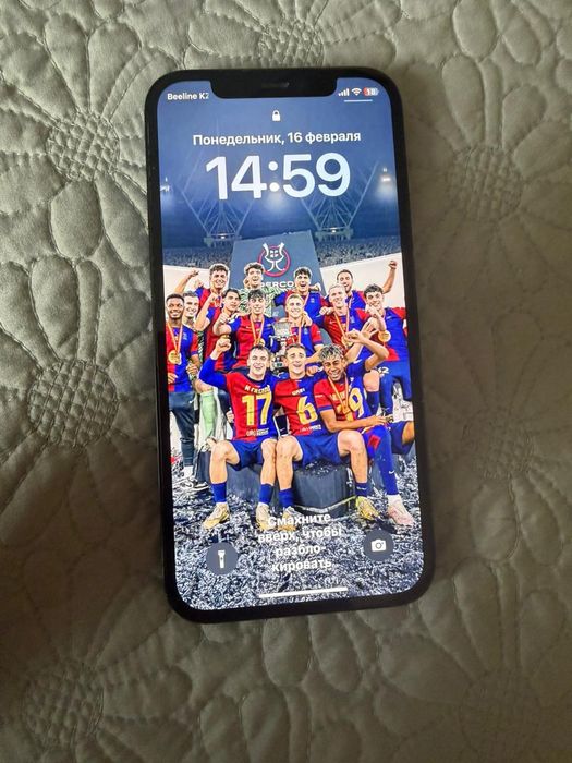 12 pro truetone 128gb