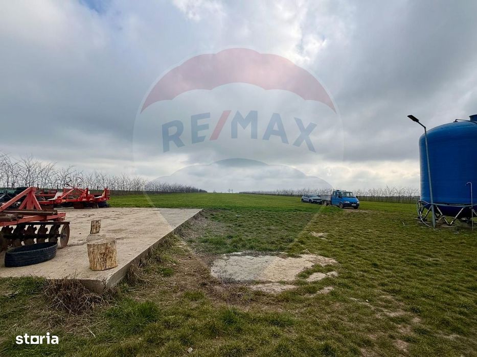 Teren extravilan Săcele ideal pentru silozuri, fermă sau investiție