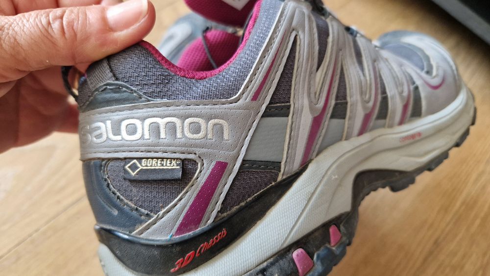 Pantofi alergare Salomon XA Pro 3D GTX