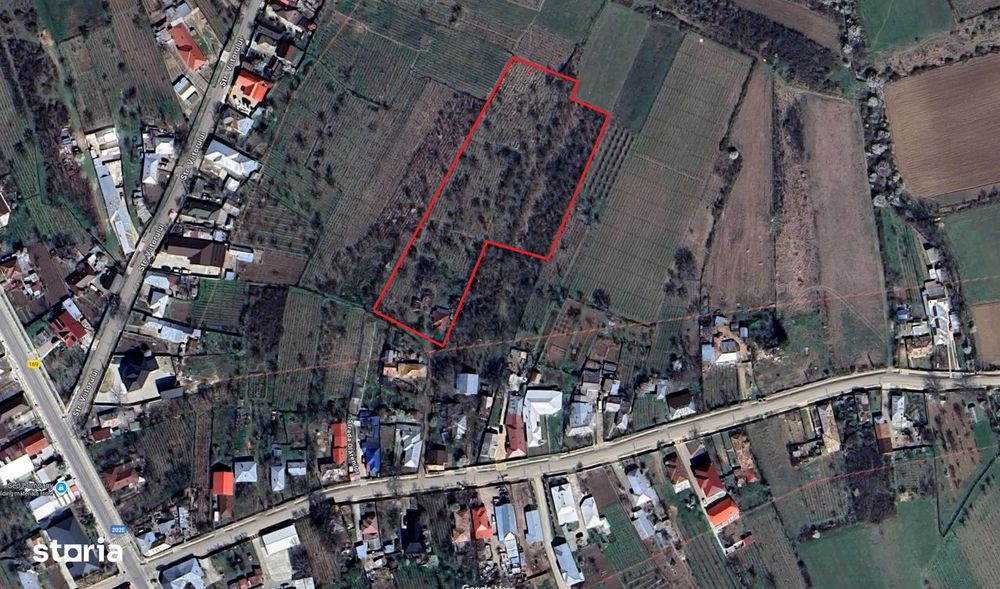 Teren intravilan 8.759 mp cu casă + vie | Utilități complete