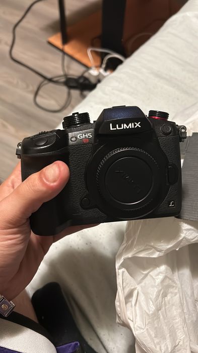 Panasonic lumix gh5s
