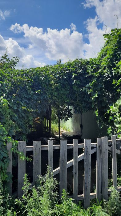 Хорошая, экологическая  дача