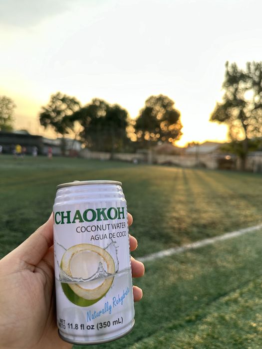 Кокосовая вода оптом из первых рук