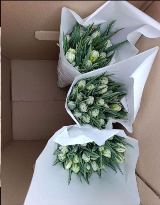 Цветы на 8 марта