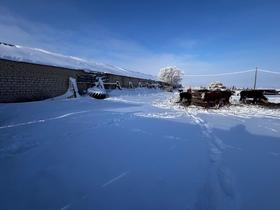 Шаруа қожалығы сатылады