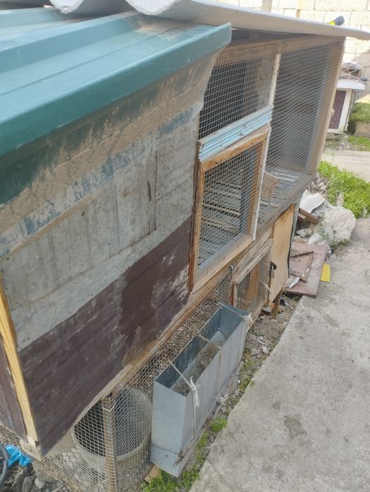 куён,кафас.сотилади