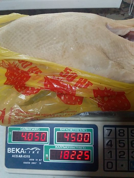 Гуси мясом домашние