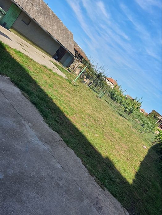 Casa de vanzare in zona rurala, Loc. Teremia Mare