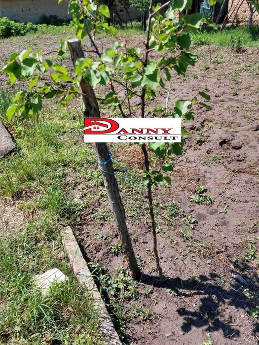 Двуетажна къща в с. Овча могила