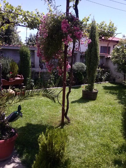 Къща за гости Relax Сопот