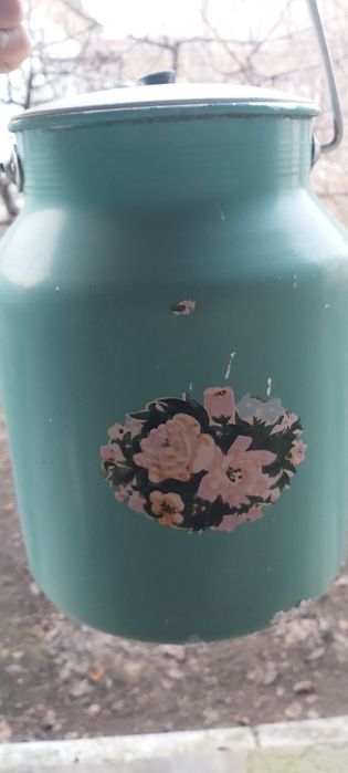 Битонча сутга ёкка