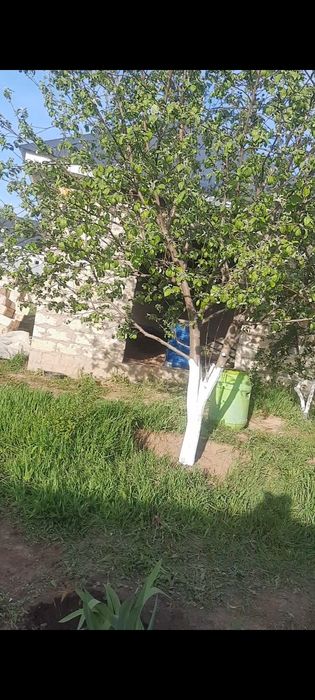 Продам дачу с/оАгротехснаб