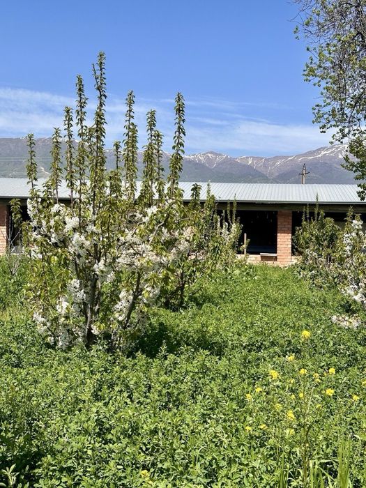 Продаётся земля 6-7 соток в Газалкенте