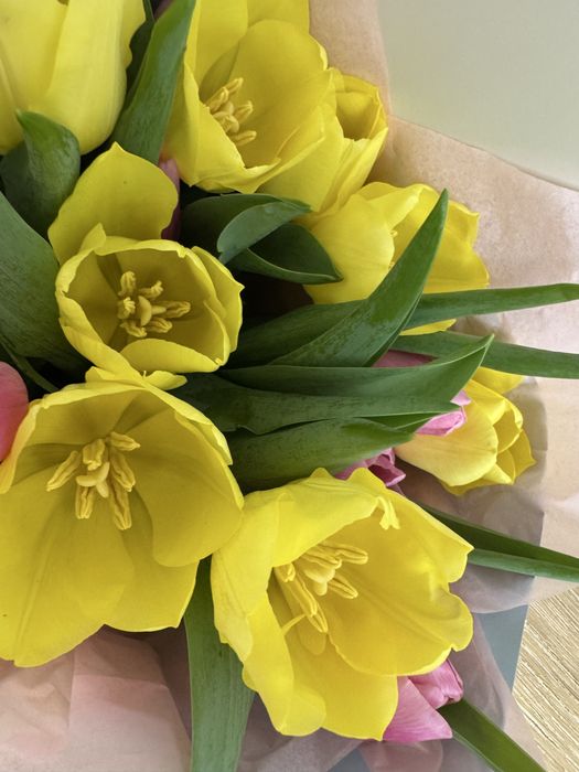 Продам свежие букет тюльпанов