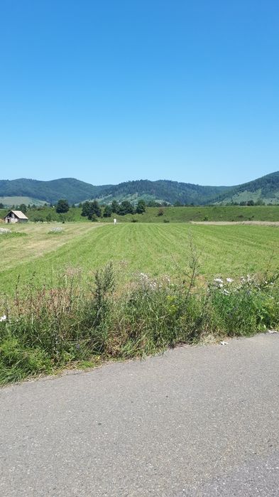 Teren de vanzare 7800 mp(2 parcele alaturate)