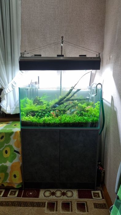 Аквариум Ташкент в стиле Европа